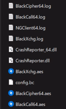 BlackCipher 폴더의 파일들